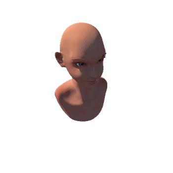 Stylized head